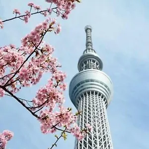 Nihonbashi Muromachi Bay Kapsül Otel