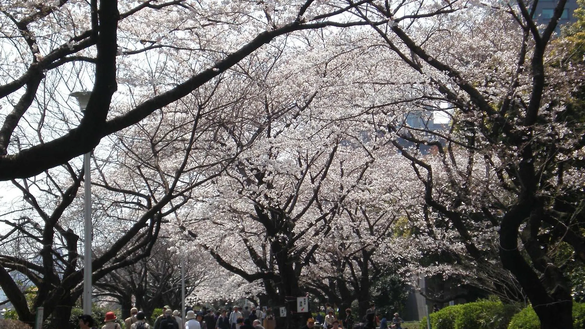 Hotel Monterey Hanzomon Tokyo